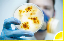 Hygieneinspektion Hygieneinspektion von KLH Tec